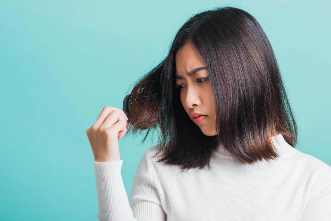 Understanding Hair Loss Causes, Types, and Effective Management | Venusde Malaysia