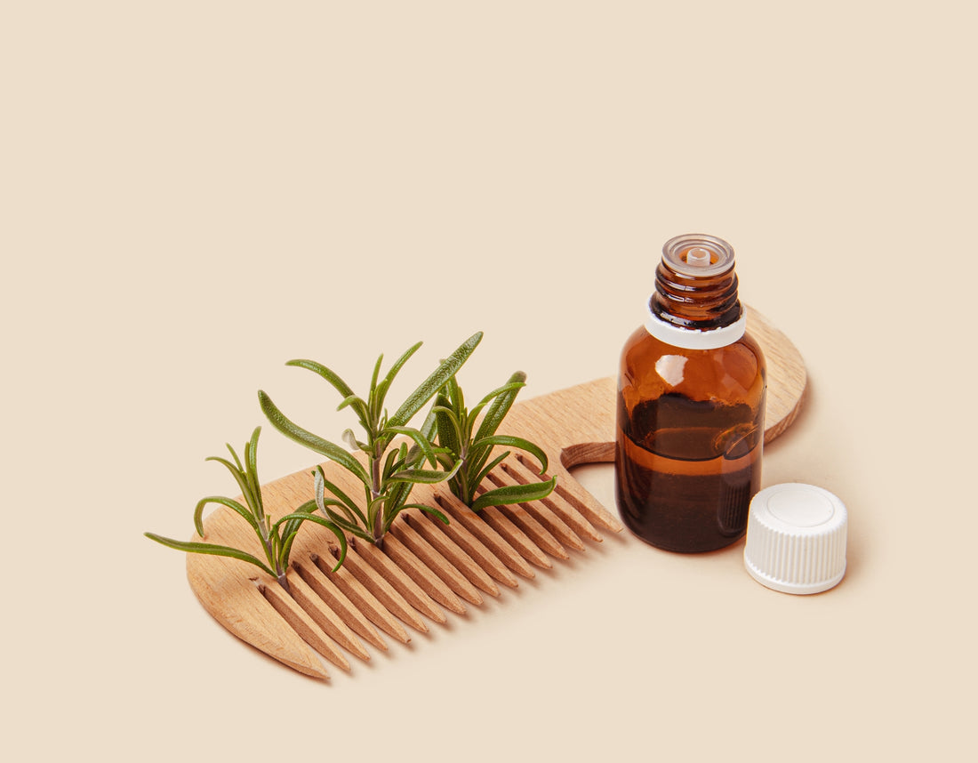 Rosemary Oil for Hair Growth: The Herb for Healthier Hair